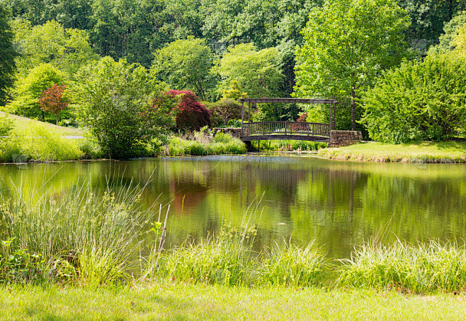 湖的风景与桥周围的郁郁葱葱的树叶