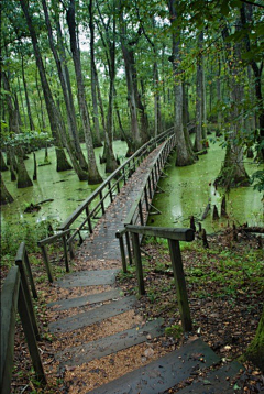 三喵采集到美景