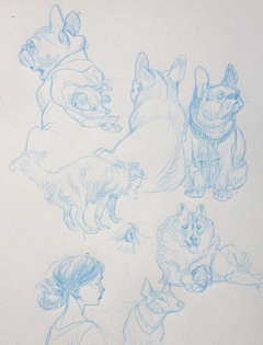 zakat采集到Claire Wendling