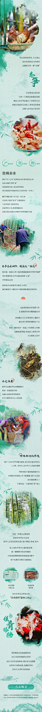 国风水墨冬笋公众号长图-源文件分享-ywjfx.cn