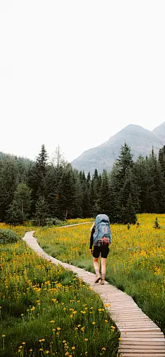 风景 手机壁纸 背景图