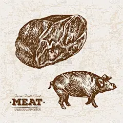 手绘素描猪肉和火腿肉类产品集, 农场新鲜食品, 黑白葡萄酒插图