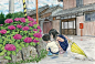 水彩艺术分享｜日本水彩画家羽尻利门充满田园气息的水彩插画