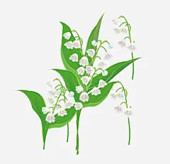 手绘长春花矢量图高清素材 免费下载 页面网页 平面电商 创意素材 png素材