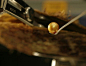 揭秘菲律宾黄金珍珠养殖场(组图) - 看中国 : Jewelmer是世界上唯壹壹位成功生産出天然黃金珍珠的生産商。經過十幾年的研究及生物技術的發展，Jewelmer已熟練掌握了金唇大珍珠貝的養殖方法。金唇大珍珠貝可以培育出有金色光澤的大珍珠。目前，僅