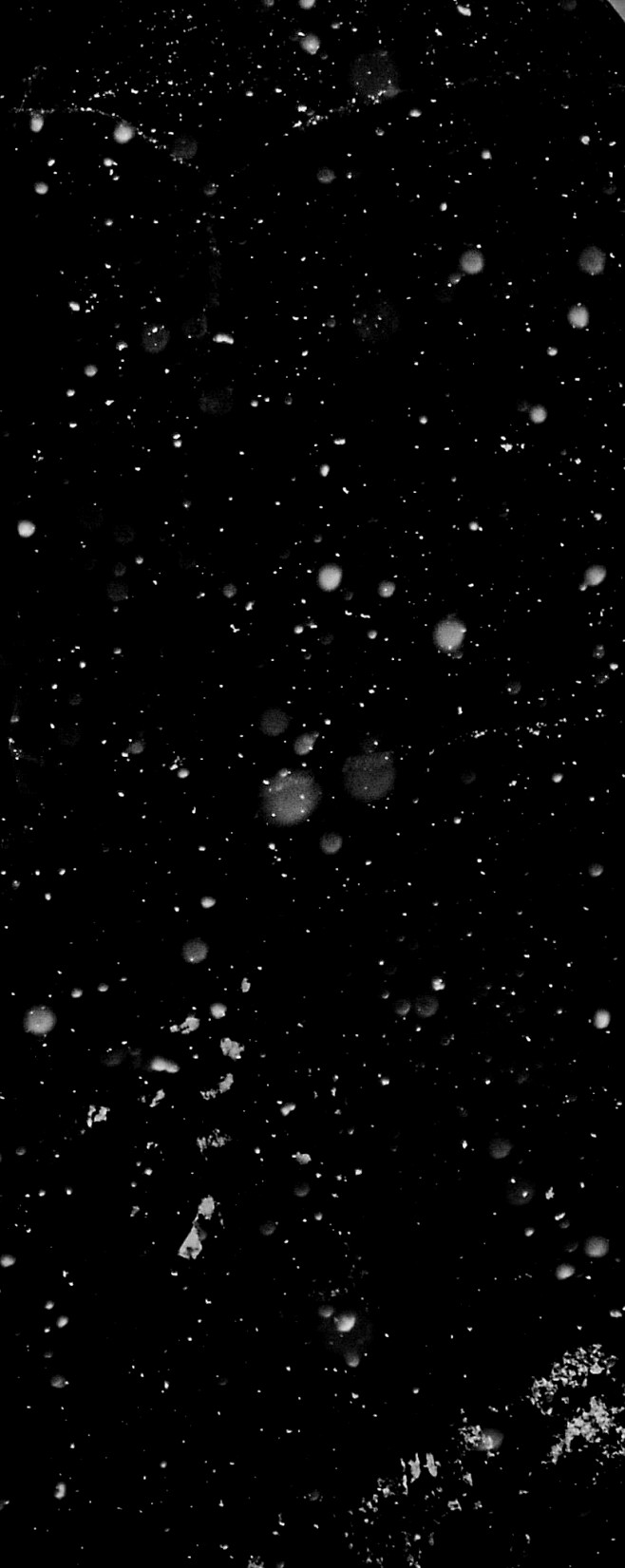 雪花 (28)