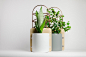 Сopper pockets : Flowerpot  "Сopper pockets"