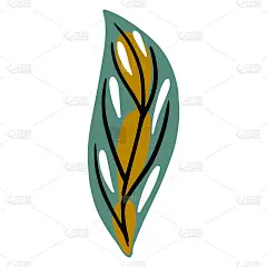 手绘的叶子。花叶元素