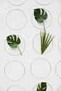 Rings and leaves are the perfect combination to create the most elegant and simple backdrop: