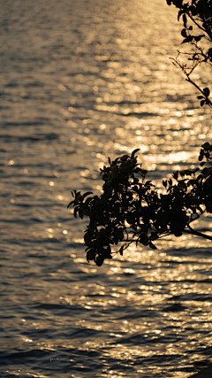 (勿改描述)@你看那是岸_朱夫人（由于壁纸有一部分自制，所以转壁纸请加关注注明出处，蟹蟹）平铺，可爱，女王范，黑色，黑白，白色，锁屏，ins风，潮，御姐，动漫，卡通，风景，古风，流行，欧美，情侣壁纸