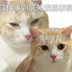 大家有没有那种平静又疯感的表情包