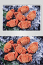 螃蟹海鲜美食图片