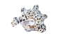 海螺