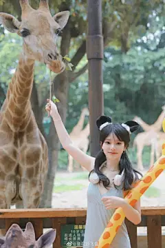 神仙颜值 - 堆糖，美图壁纸兴趣社区