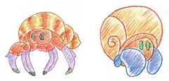 简笔画5000例，一本就够（动物篇） - 寄居蟹 - 涂涂猫编著 - 微信读书