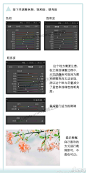 #拍照教程#  花开，小清新拍照后期调色教程，喜欢的学习！  #拍照摄影技巧#