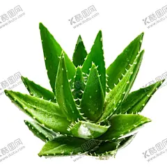 绿色植物 【酷图网】绿色植物,热带树叶,小清新树叶,植物背景,背景简约,植物树叶,竹排,竹栏杆,电视背景墙,背景墙,装修,背景墙效果图,室内背景墙,效果图,免扣,壁画,装饰画,现代,壁纸,墙纸,沙发背景墙,砖墙,墙面,绿色,藤蔓,蔷薇,玫瑰,蝴蝶,树叶,边框