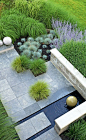 Houblon — Garden pathinterplanted pavers soften this...
