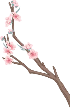 中国风细线人物花卉插画-桃花枝
