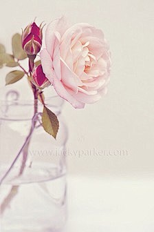 ののの唯美意境的花_姐神经兮兮图片专辑-...