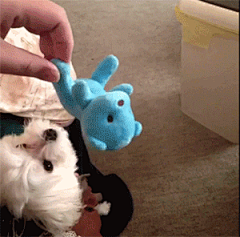 つ冷先生采集到GIF