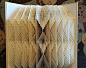 Folded book art, seashell design, recycled book sculpture : For book lovers and fans of recycled art, enliven a shelf, wall, or desk with this unique and whimsical book sculpture. Guaranteed to turn heads and start a conversation. The approximate dimensio