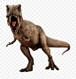 恐龙 侏罗纪 恐龙时代 侏罗纪公园 恐龙世界 恐龙大全 