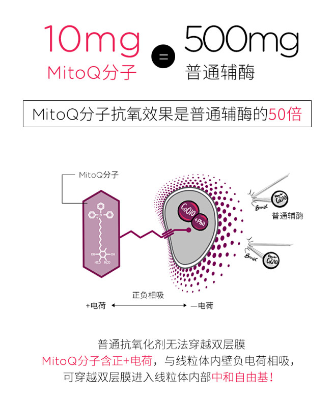 MitoQ经典抗衰老泛醇辅酶q10ql0...