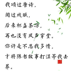 相儒以沫2017采集到唯美