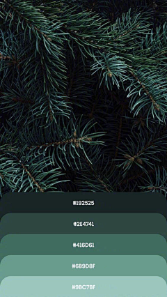 王其其呀采集到配色
