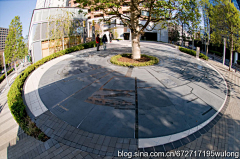 JessieDan采集到LA_Detail/paving