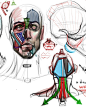 人体大师Michael Hampton的头部结构设计。从实用易理解的角度分析骨骼、肌肉等人体结构，按照其分布位置、活动方式、表现效果来进行绘制，从而表现出生动的人物面部形象。#王国分享# O网页链接