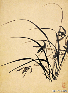 猫夏的我采集到画