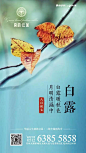 来自相册