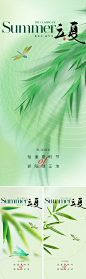 【素材能量站】海报 地产 节气 质感 美业 立夏 二十四节气 竹叶 竹子 朦胧 弥散风 蜻蜓 唯美 清新 绿色|1039340 