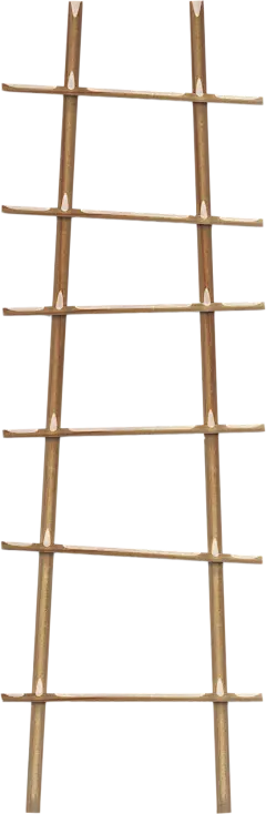 阶梯 木梯 梯子 PNG