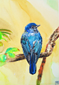 蓝色鸟，附过程及吐槽链接
