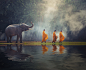 Thailand Buddhist monks walk collecting alms by Sasin Tipchai on 500px