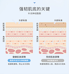 孤傲的粒米采集到问题肌肤结构