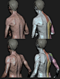 ArtStation - Torso Motion Study _3ac0957c