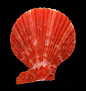 01139f5edf1cfca801215aa0b261a7.jpg@1280w_1l_2o_100sh