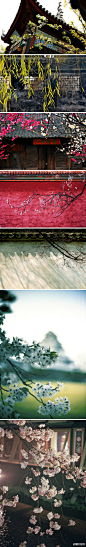 -墨墨无痕：//@我是雪姨我怕谁: //@墨染江绸画: 泱泱华夏如此多娇，引无数看图者竟折腰//@满吃的:美景