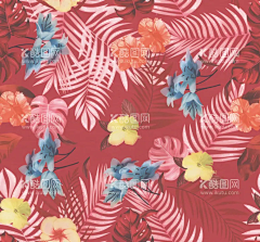 liujian83采集到其他素材