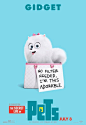 #电影# #海报# #人设# #素材# #动画# #爱宠大机密# #The Secret Life of Pets# #宠物当家#