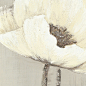 装饰画-冷艳-装饰画尺寸：40×80-框条：深木色-花束-花卉印象--有框装饰画墙壁挂画-天画网