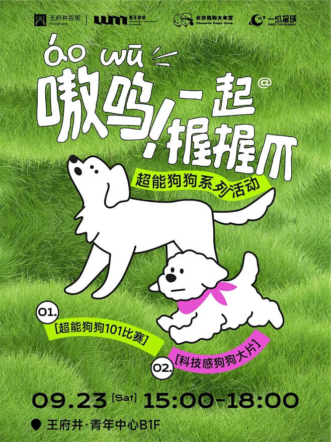 oi~狗狗我呀，终于争气啦
