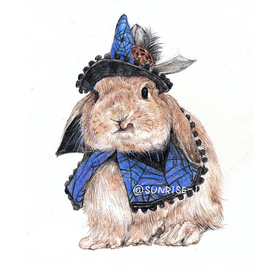 小兔子~彩铅画 @SUNRISE-J