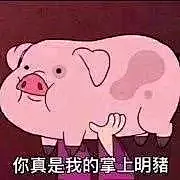 分享一下本猪猪女孩的爱用猪猪表情包