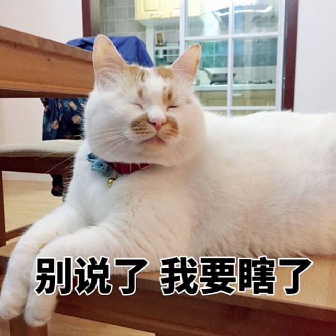 #猫咪表情包# 当不同小猫咪委屈时的反应...