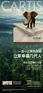 木地板价值点简约海报--源文件下载